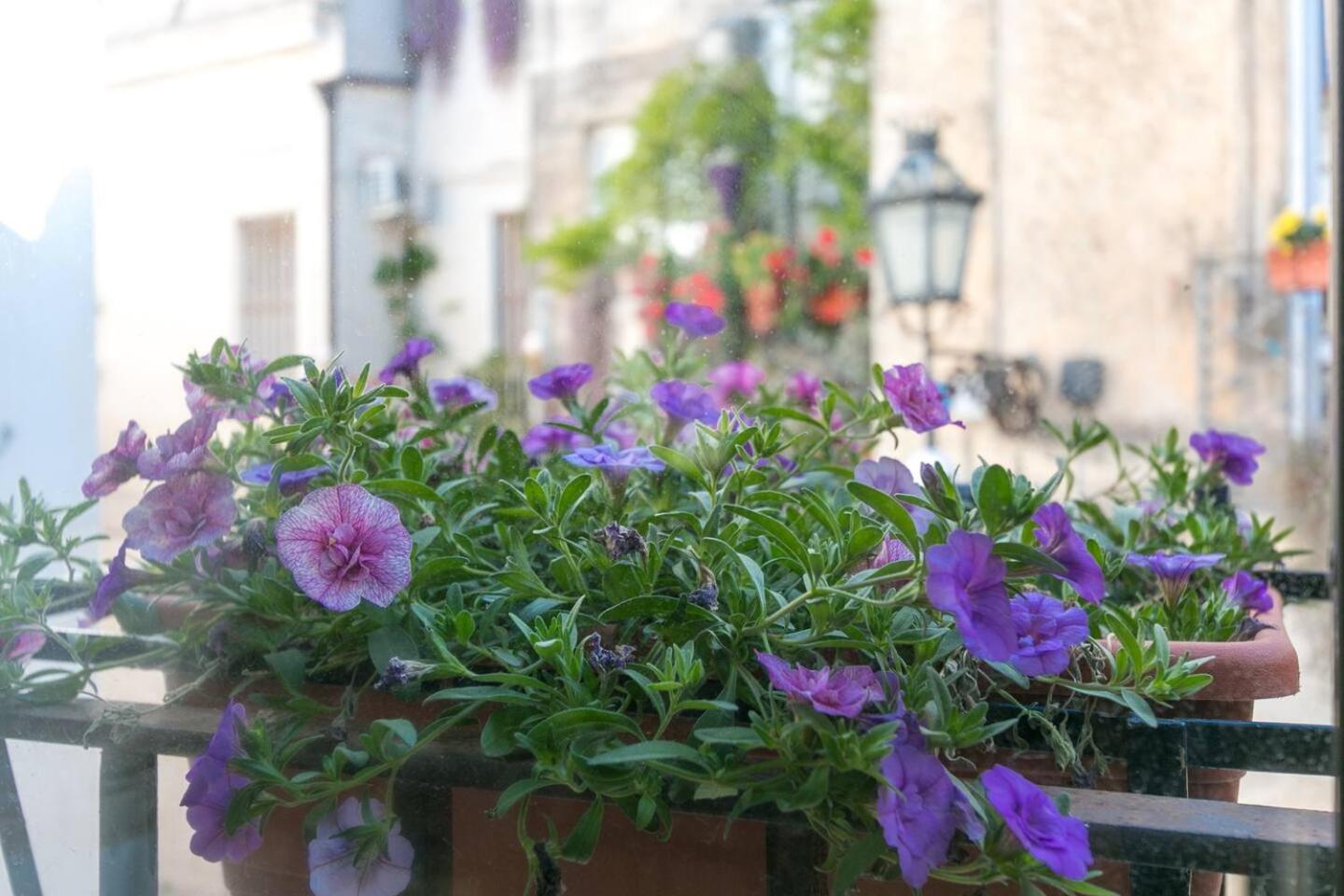 Caminanti Bed & Breakfast Lecce Dış mekan fotoğraf