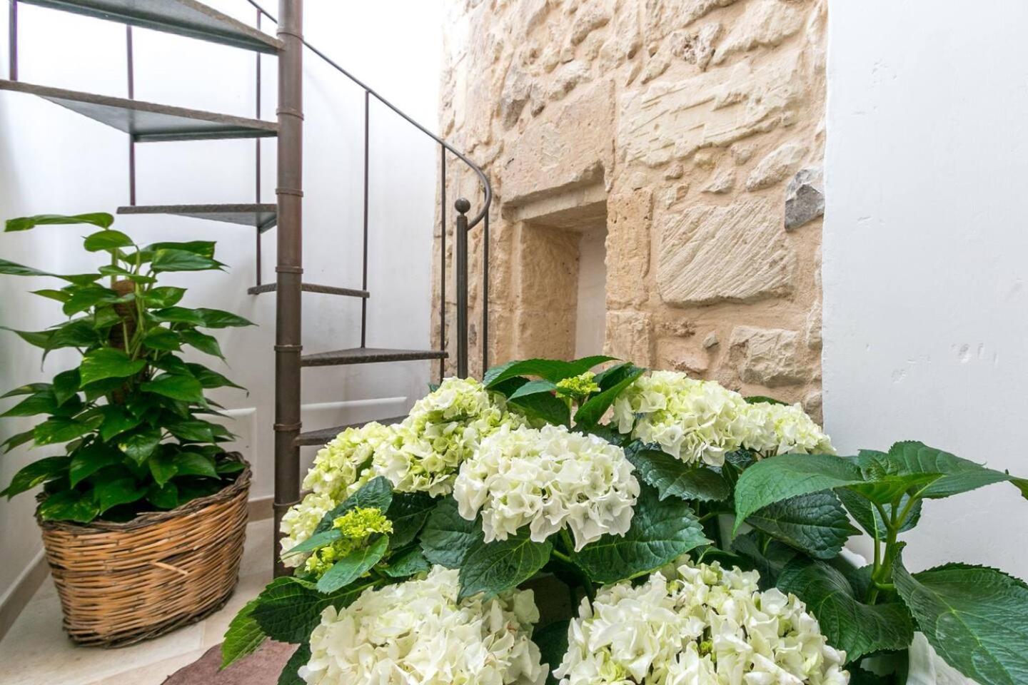 Caminanti Bed & Breakfast Lecce Dış mekan fotoğraf